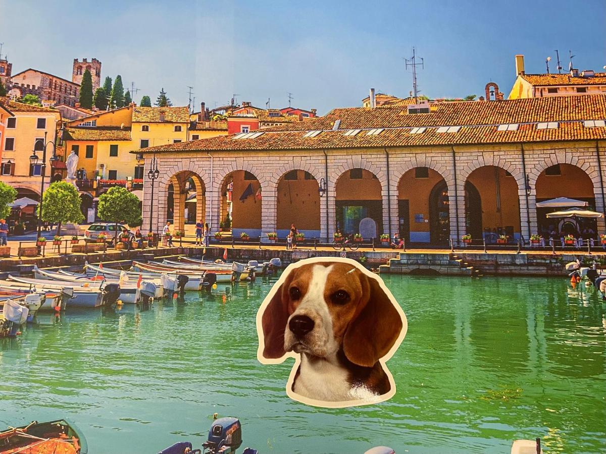 DesenzanoLoft Le Petit Bijou Desenzano Desenzano del Garda Buitenkant foto